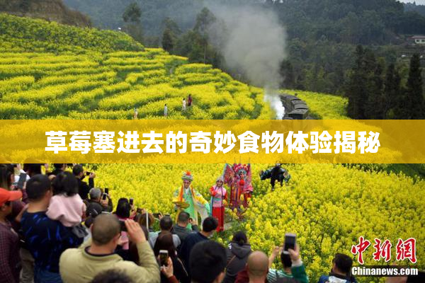 草莓塞进去的奇妙食物体验揭秘