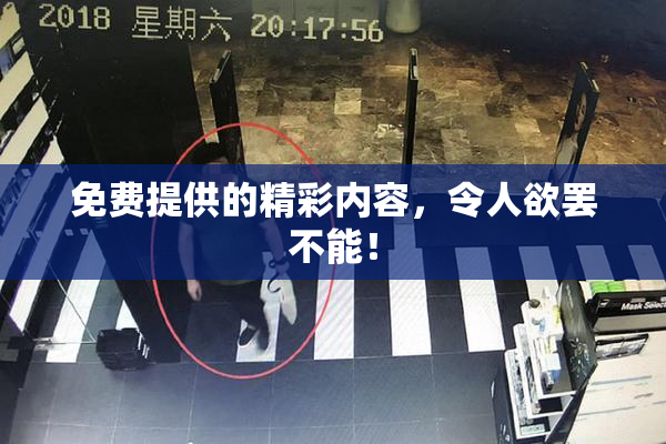 免费提供的精彩内容，令人欲罢不能！
