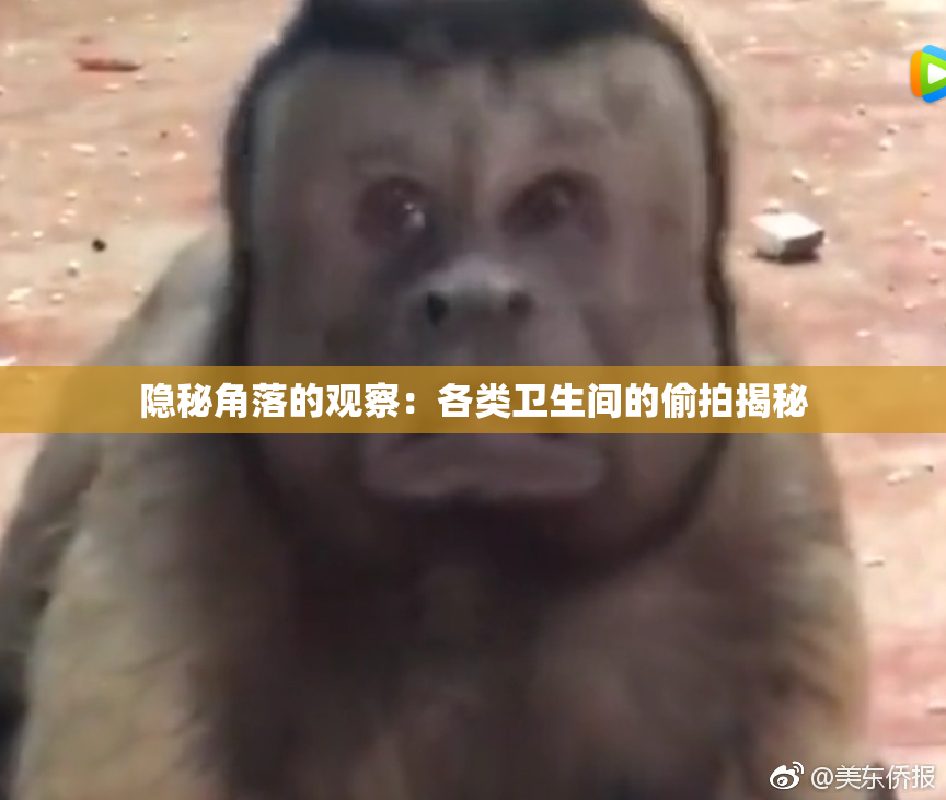 隐秘角落的观察：各类卫生间的偷拍揭秘