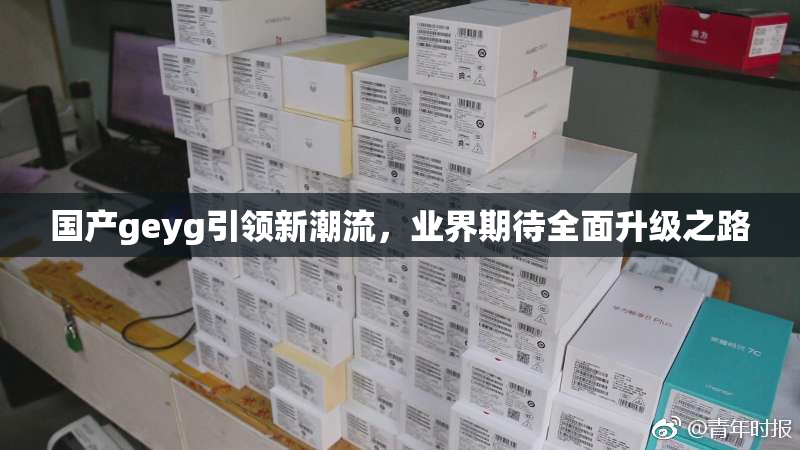 国产geyg引领新潮流，业界期待全面升级之路