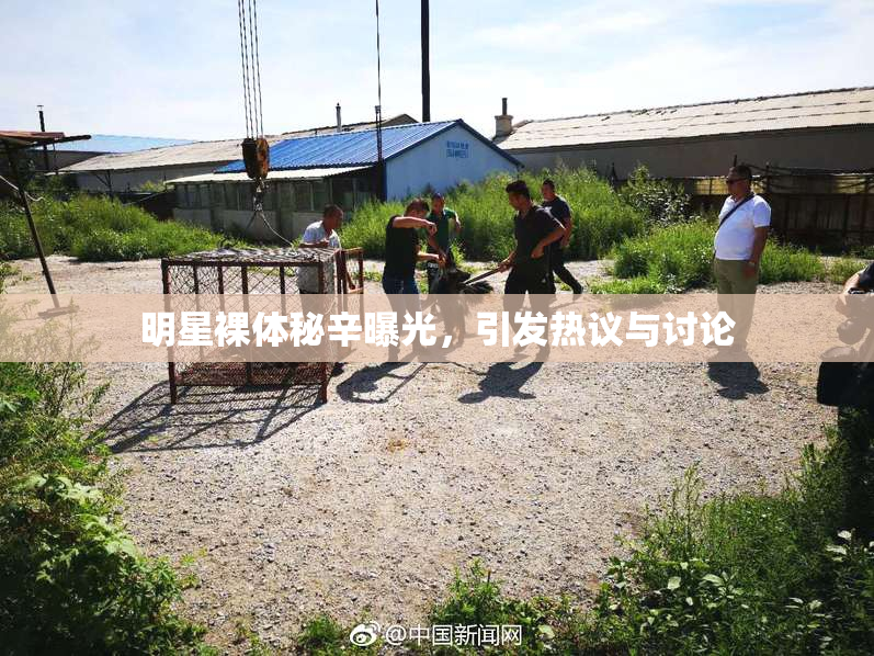 明星裸体秘辛曝光，引发热议与讨论