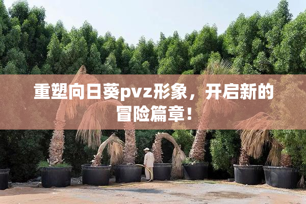 重塑向日葵pvz形象，开启新的冒险篇章！