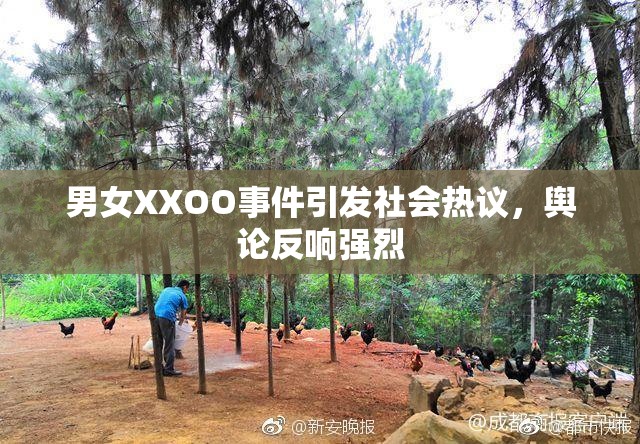 男女XXOO事件引发社会热议，舆论反响强烈
