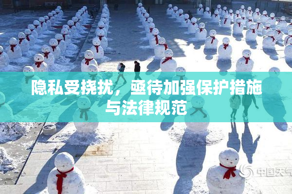 隐私受挠扰，亟待加强保护措施与法律规范