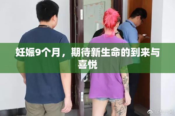 妊娠9个月，期待新生命的到来与喜悦