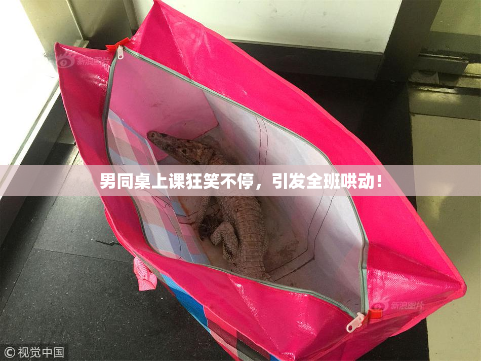 男同桌上课狂笑不停，引发全班哄动！