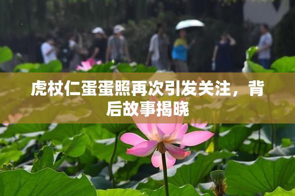 虎杖仁蛋蛋照再次引发关注，背后故事揭晓