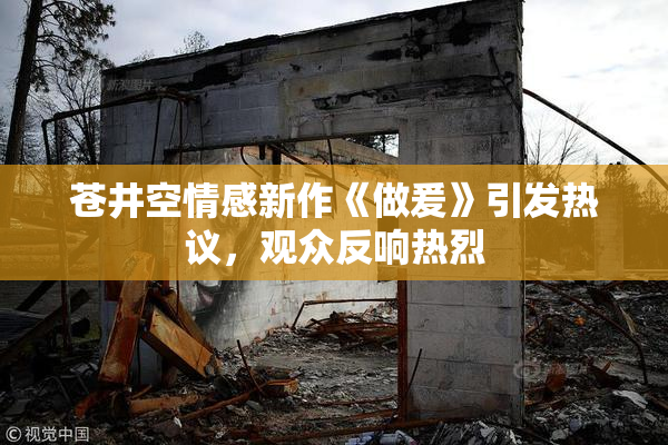 苍井空情感新作《做爰》引发热议，观众反响热烈