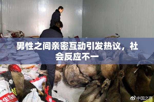 男性之间亲密互动引发热议，社会反应不一
