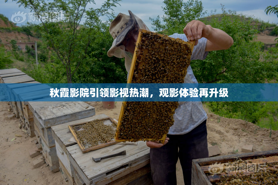 秋霞影院引领影视热潮，观影体验再升级