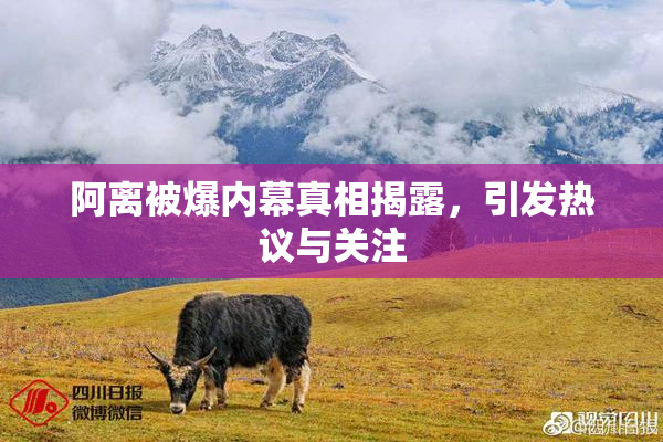 阿离被爆内幕真相揭露，引发热议与关注