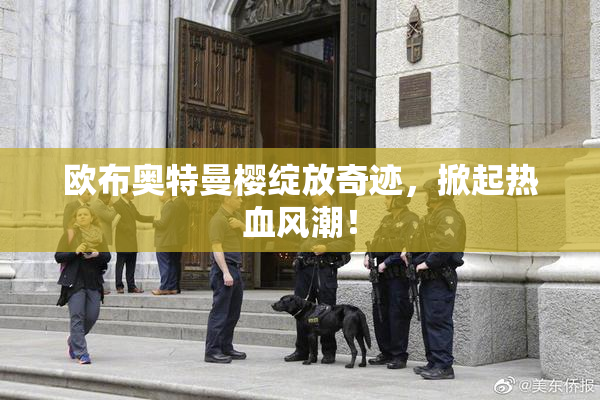 欧布奥特曼樱绽放奇迹，掀起热血风潮！