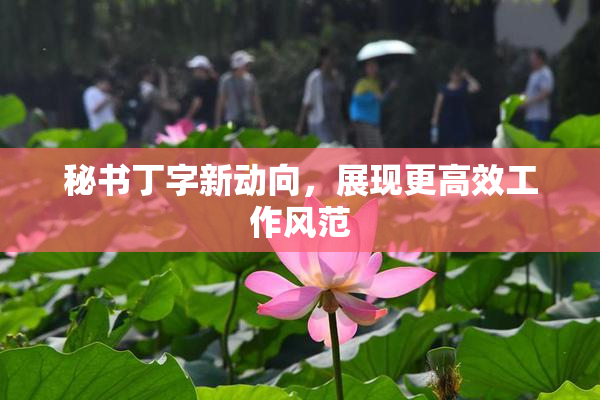 秘书丁字新动向，展现更高效工作风范