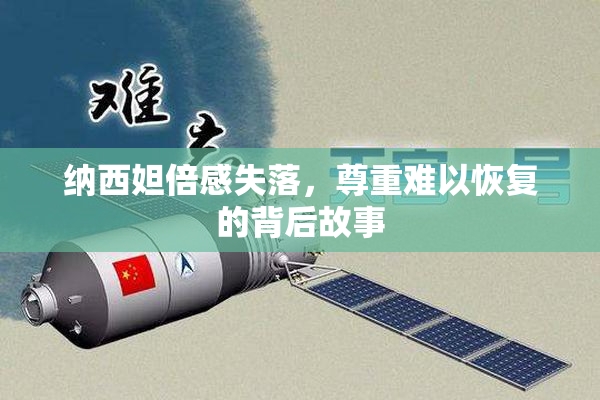 纳西妲倍感失落，尊重难以恢复的背后故事