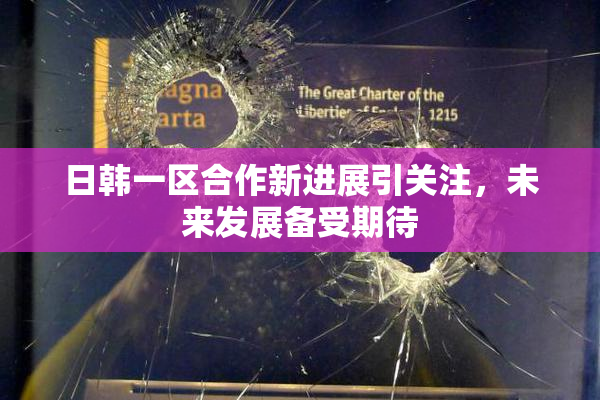 日韩一区合作新进展引关注，未来发展备受期待