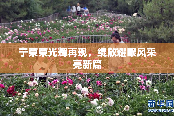 宁荣荣光辉再现，绽放耀眼风采亮新篇