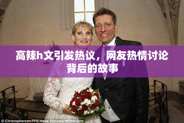高辣h文引发热议，网友热情讨论背后的故事