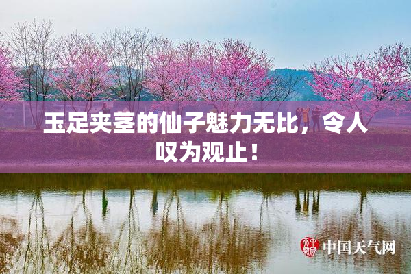 玉足夹茎的仙子魅力无比，令人叹为观止！