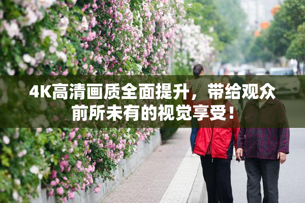 4K高清画质全面提升，带给观众前所未有的视觉享受！