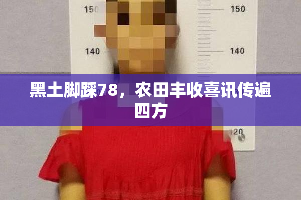 黑土脚踩78，农田丰收喜讯传遍四方