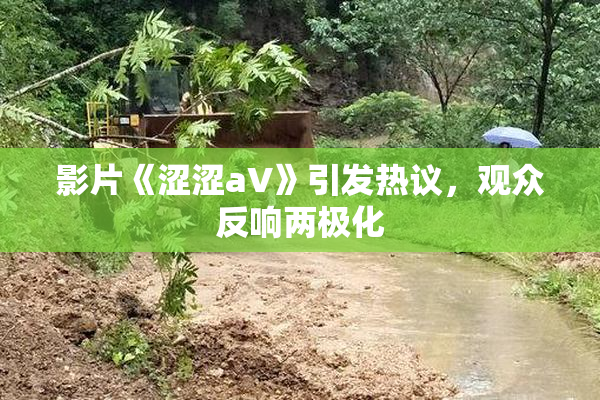 影片《涩涩aV》引发热议，观众反响两极化