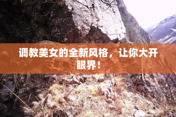 调教美女的全新风格，让你大开眼界！