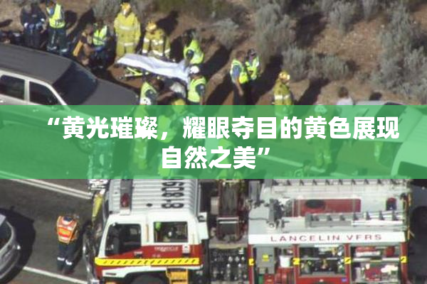 “黄光璀璨，耀眼夺目的黄色展现自然之美”