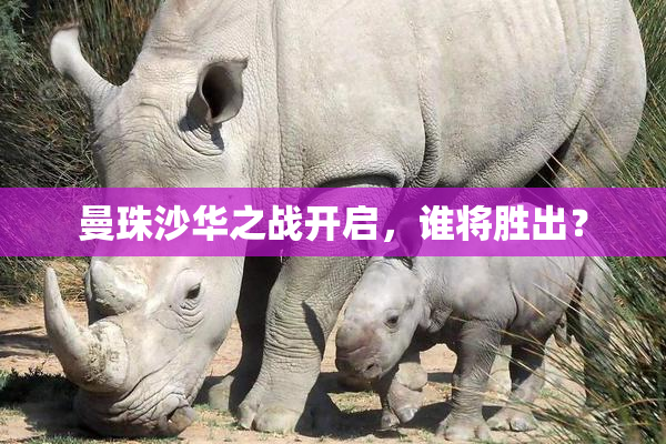 曼珠沙华之战开启，谁将胜出？