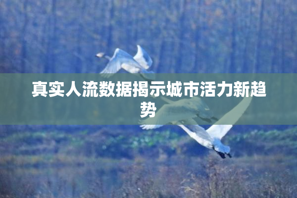 真实人流数据揭示城市活力新趋势