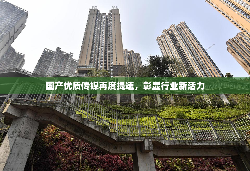 国产优质传媒再度提速，彰显行业新活力