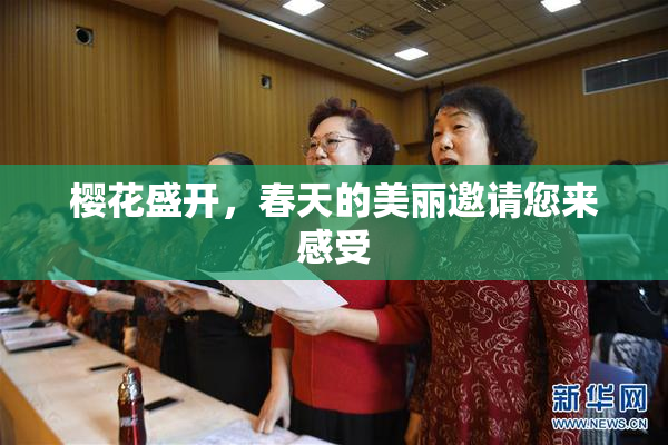 樱花盛开，春天的美丽邀请您来感受