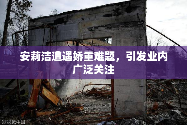 安莉洁遭遇娇重难题，引发业内广泛关注