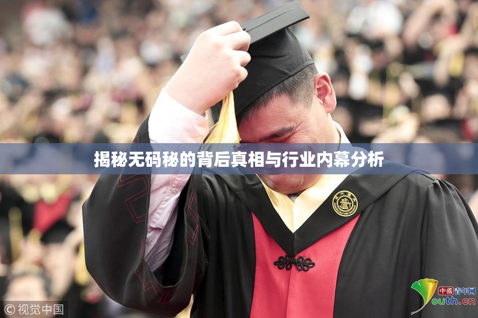 揭秘无码秘的背后真相与行业内幕分析