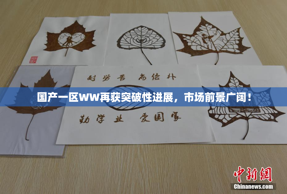 国产一区WW再获突破性进展，市场前景广阔！