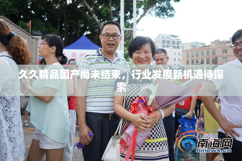 久久精品国产尚未结束，行业发展新机遇待探索