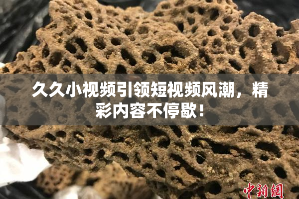 久久小视频引领短视频风潮，精彩内容不停歇！