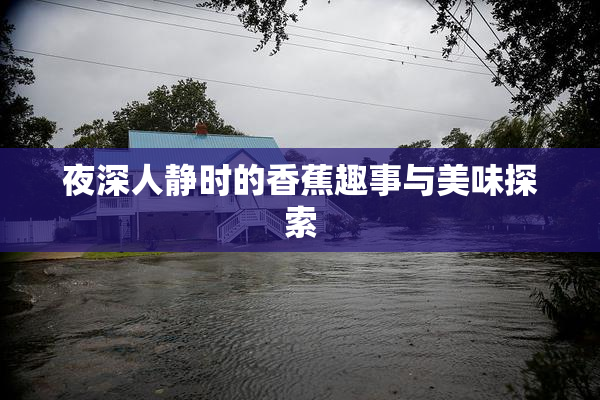 夜深人静时的香蕉趣事与美味探索