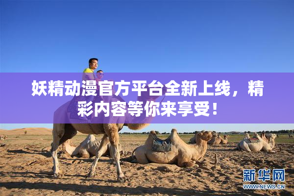 妖精动漫官方平台全新上线，精彩内容等你来享受！