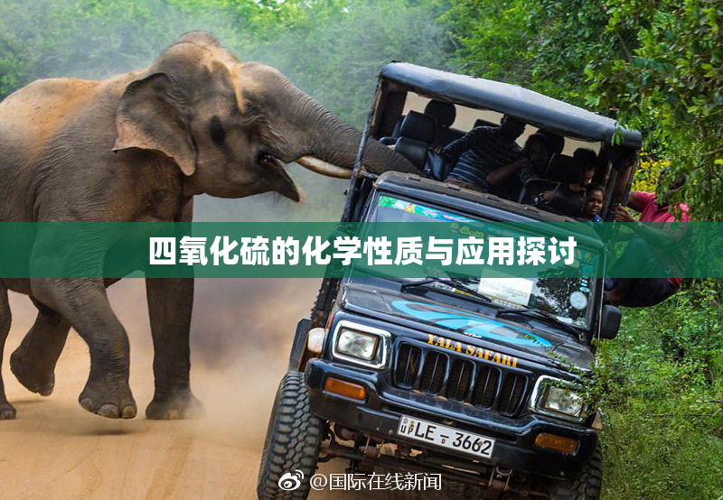 四氧化硫的化学性质与应用探讨