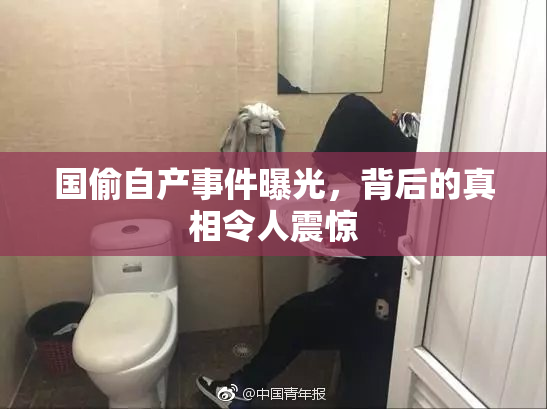 国偷自产事件曝光，背后的真相令人震惊