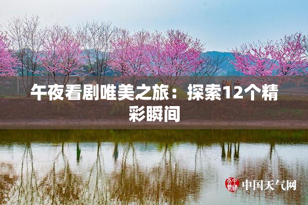 午夜看剧唯美之旅：探索12个精彩瞬间