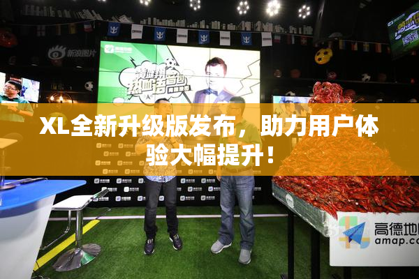 XL全新升级版发布，助力用户体验大幅提升！