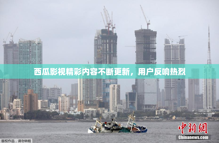 西瓜影视精彩内容不断更新，用户反响热烈