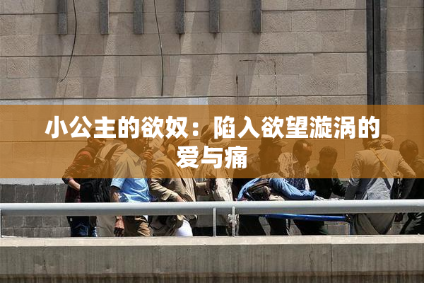 小公主的欲奴：陷入欲望漩涡的爱与痛