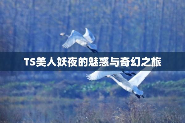 TS美人妖夜的魅惑与奇幻之旅