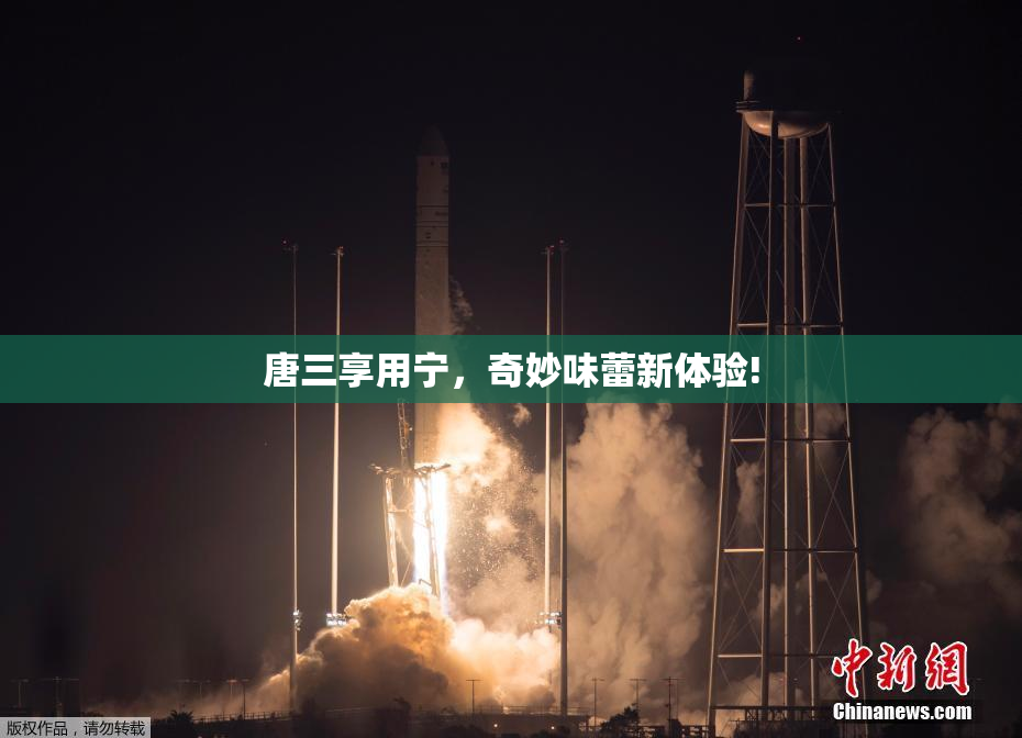 唐三享用宁，奇妙味蕾新体验!