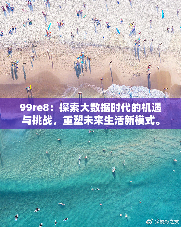 99re8：探索大数据时代的机遇与挑战，重塑未来生活新模式。