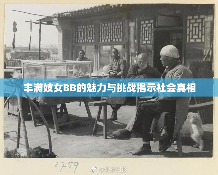 丰满妓女BB的魅力与挑战揭示社会真相