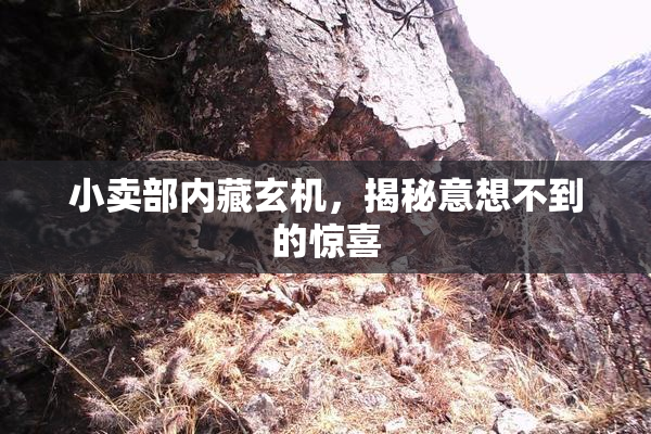 小卖部内藏玄机，揭秘意想不到的惊喜