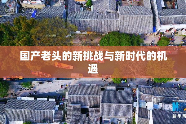 国产老头的新挑战与新时代的机遇